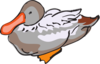 Gray And Brown Duck Art Clip Art